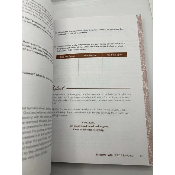 Ephesians: Bible Study Book with Video Access : A Study of Faith and Practice - Picture 8 of 11